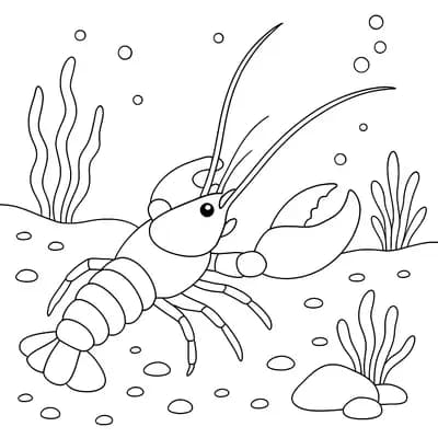 Kreeft Kleurplaat