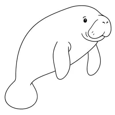 Zeekoe Kleurplaat