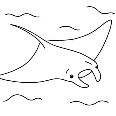 Manta Rog Kleurplaat