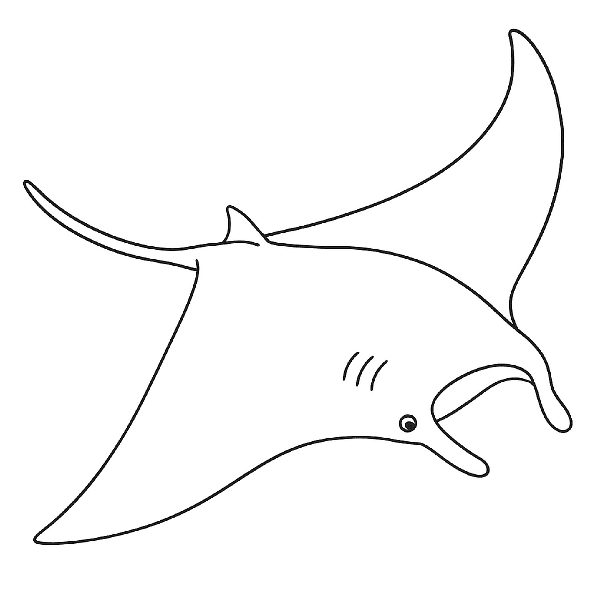 Sierlijke Mantarog Kleurplaat