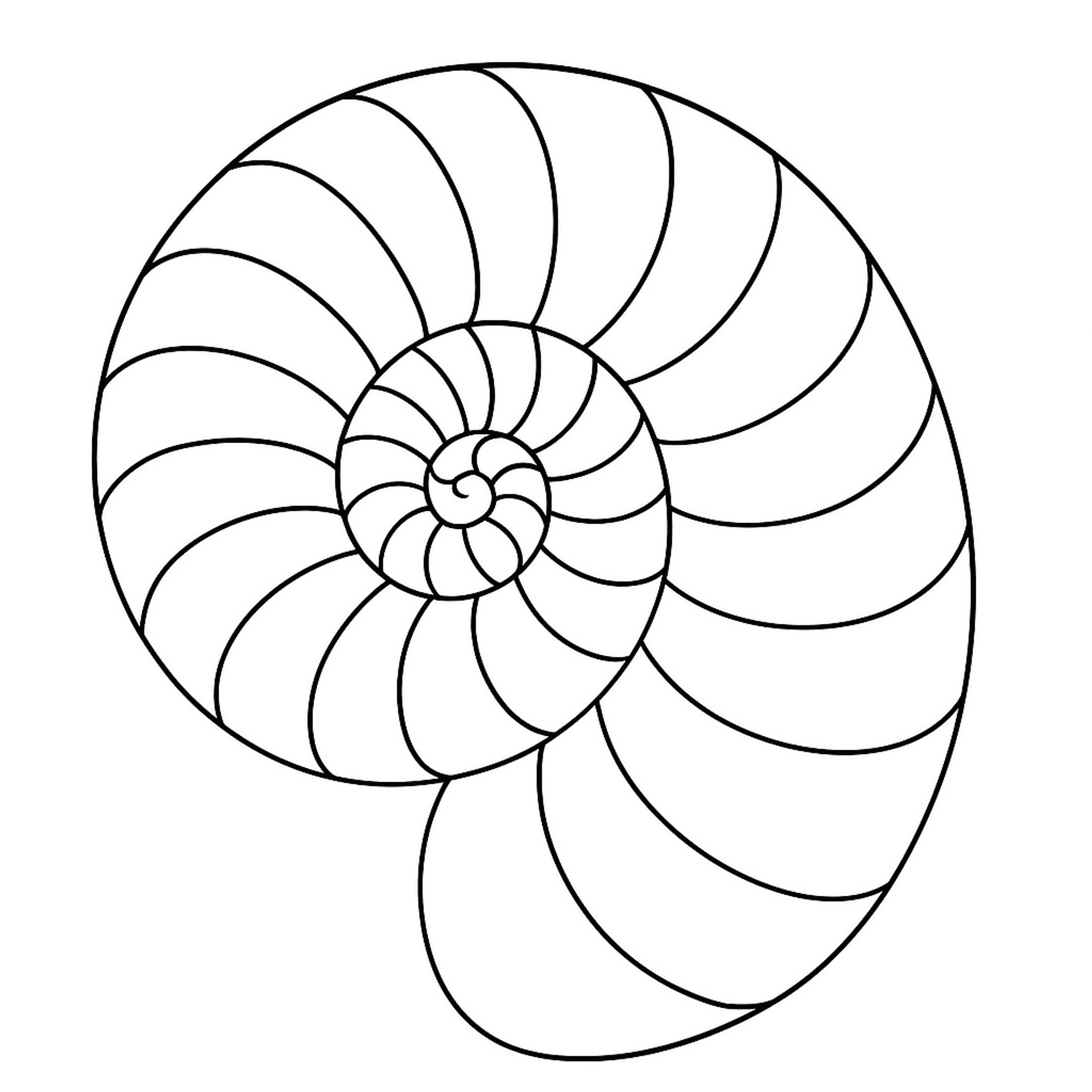 Nautilus Kleurplaat