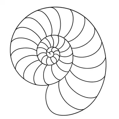 Nautilus Kleurplaat